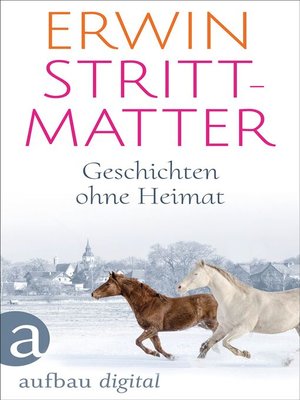 cover image of Geschichten ohne Heimat